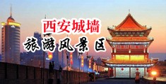 外国骚穴中国陕西-西安城墙旅游风景区